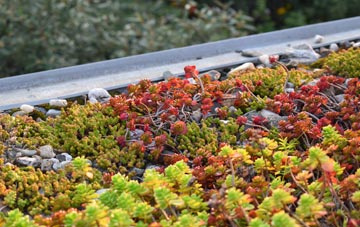 the cost of Aridhglas green roof installation